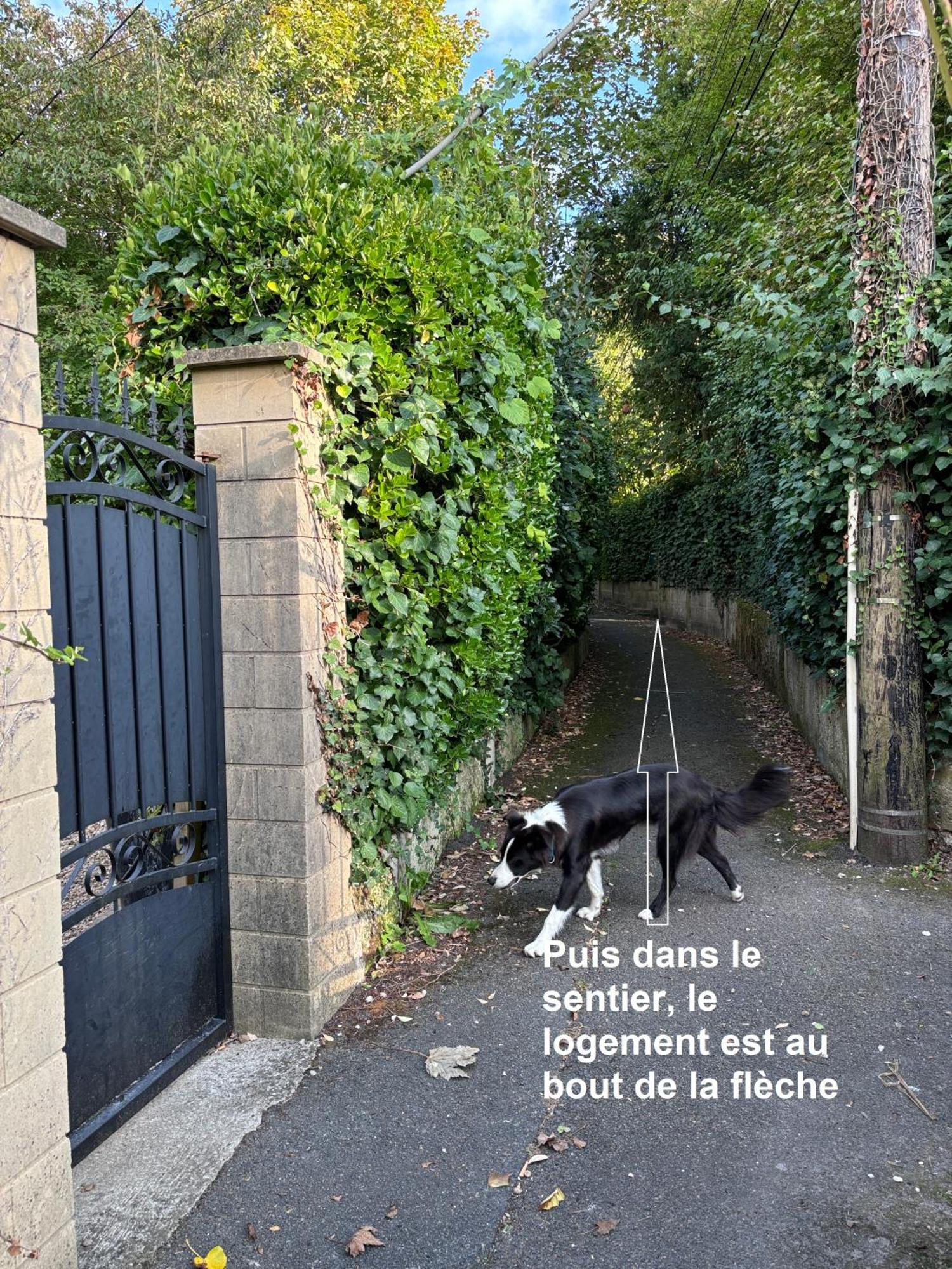 Merig'Home Chambre Bd Climatisee Dans Maison Avec Piscine Au Calme En Ville, Sdb & Toilettes Prives Angoulême Exteriör bild